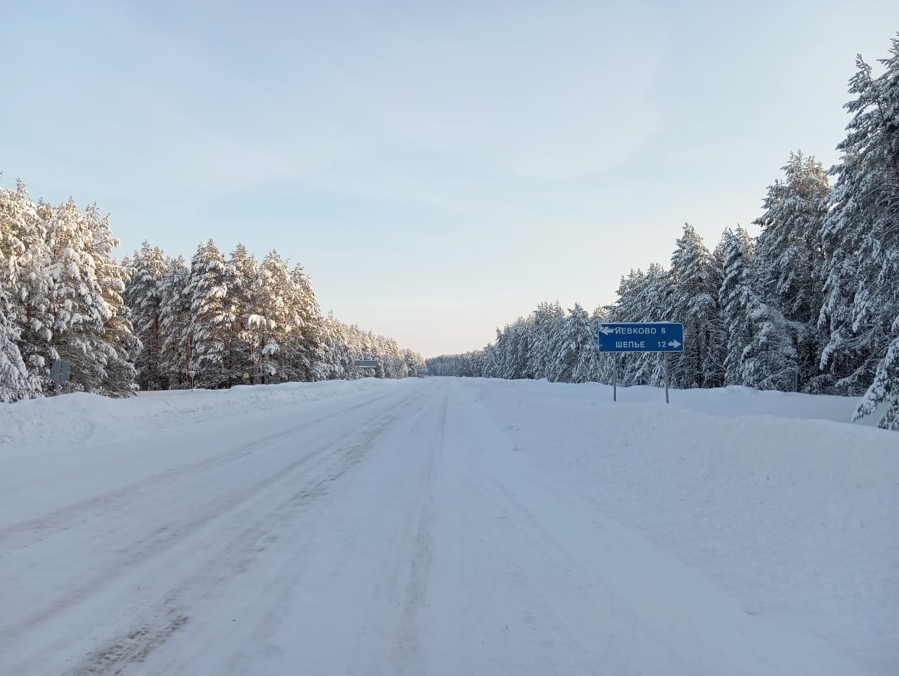 Пульс недели.