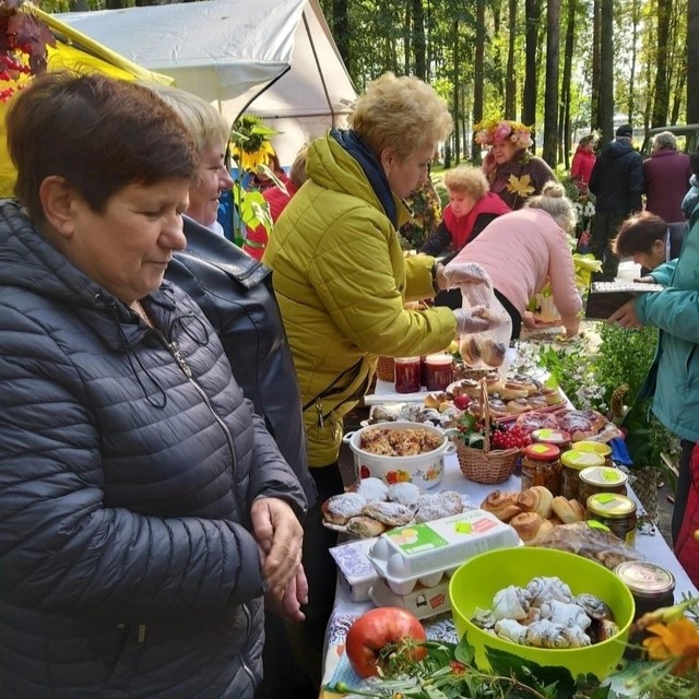 На Вологодчине расширили географию действия программы «Вологодский гектар».