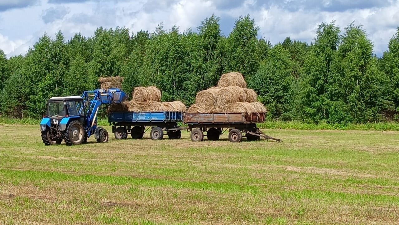 Лето работает на зиму.