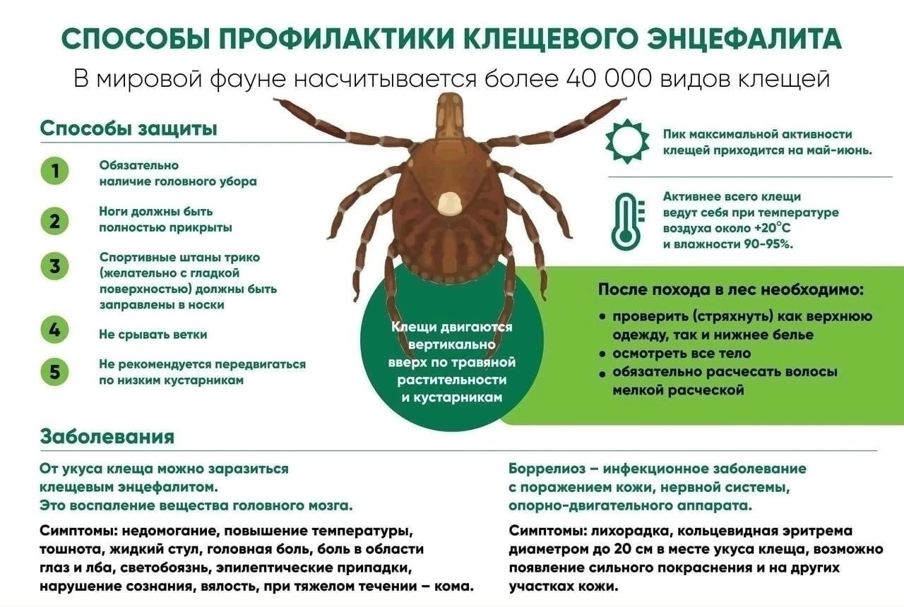 Уважаемые жители города и района! Пришло время делать прививку от клещевого энцефалита..