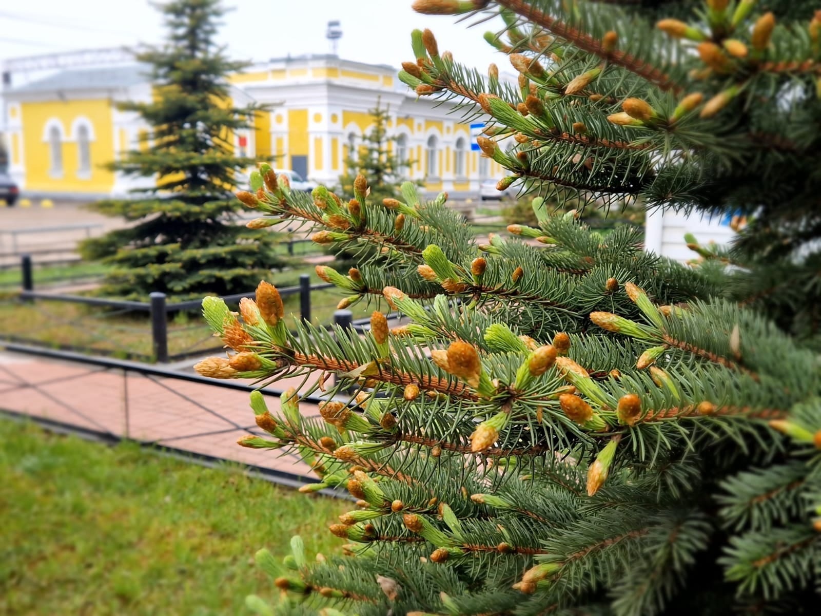 У вологодских электричек временно изменится расписание.